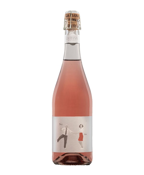 LAMBRUSCO GRASPAROSSA DI CASTELVETRO Noi Due M.M. BIO*